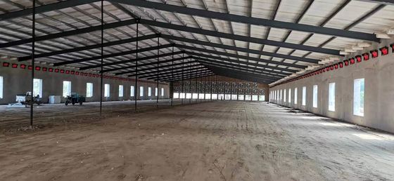 Prefabricated Steel Structure Poultry House Q235B Q355B ইস্পাত ফ্রেম চিকেন হাউস