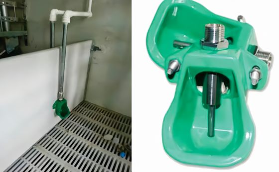 কেএক্সডি স্টেইনলেস স্টীল গরু স্তনবৃন্ত পানীয় গরুর খামার সরঞ্জাম দ্রুত ইনস্টলেশন